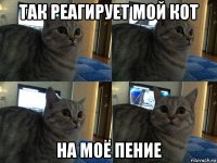 так реагирует мой кот на моё пение