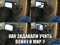  как задавали учить войну и мир ?