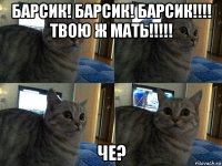 барсик! барсик! барсик!!!! твою ж мать!!!!! че?