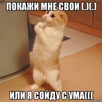 покажи мне свои (.)(.) или я сойду с ума(((