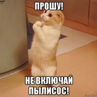 прошу! не включай пылисос!