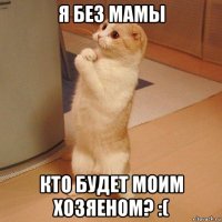 я без мамы кто будет моим хозяеном? :(