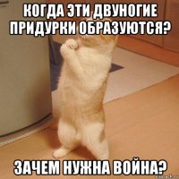 когда эти двуногие придурки образуются? зачем нужна война?