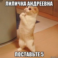 лиличка андреевна поставьте 5