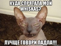 куда спрятала мой whiskas? лучще говори падла!!!