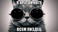 я крутой коте всем пиздец