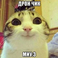 дрон чик миу:3