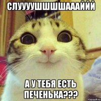 слуууушшшшаааййй а у тебя есть печенька???