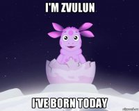 i'm zvulun i've born today