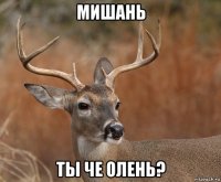 мишань ты че олень?