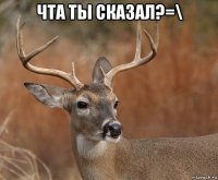 чта ты сказал?=\ 