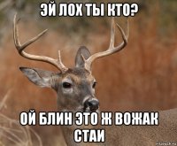 эй лох ты кто? ой блин это ж вожак стаи