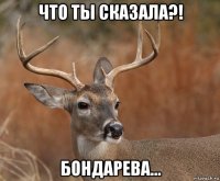 что ты сказала?! бондарева...