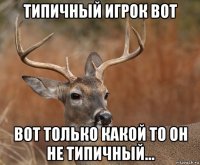 типичный игрок вот вот только какой то он не типичный...