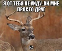 я от тебя не уйду, он мне просто друг ©