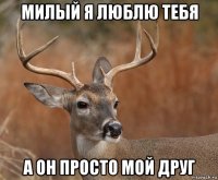 милый я люблю тебя а он просто мой друг