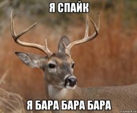 я спайк я бара бара бара