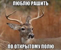 люблю рашить по открытому полю