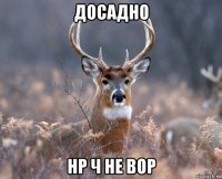 досадно нр ч не вор