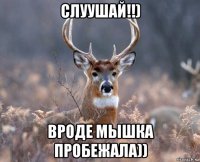 слуушай!!) вроде мышка пробежала))