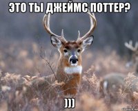 это ты джеймс поттер? )))