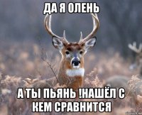 да я олень а ты пьянь !нашёл с кем сравнится