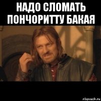 надо сломать пончоритту бакая 