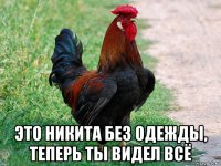  это никита без одежды, теперь ты видел всё