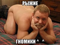 рыжие гномики ^_^