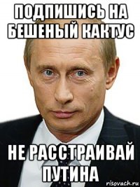 подпишись на бешеный кактус не расстраивай путина