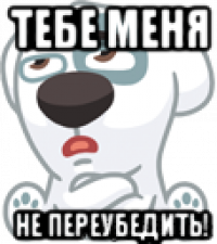 тебе меня не переубедить!