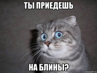 ты приедешь на блины?