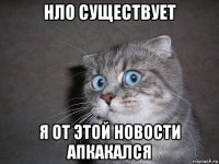 нло существует я от этой новости апкакался