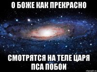 о боже как прекрасно смотрятся на теле царя пса побои