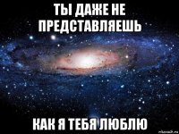 ты даже не представляешь как я тебя люблю