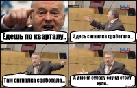 Едешь по кварталу.. Здесь сигналка сработала... Там сигналка сработала... А у меня субару саунд стоит хуле..