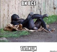 ви все тупици