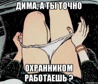 дима, а ты точно охранником работаешь ?