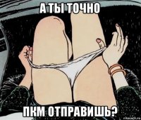 а ты точно пкм отправишь?