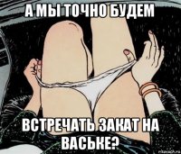 а мы точно будем встречать закат на ваське?