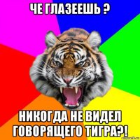 че глазеешь ? никогда не видел говорящего тигра?!