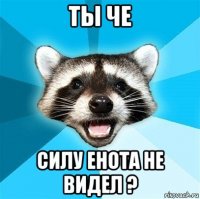 ты че силу енота не видел ?