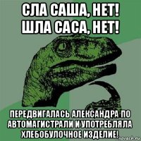 сла саша, нет! шла саса, нет! передвигалась александра по автомагистрали и употребляла хлебобулочное изделие!