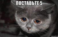 поставьте 5 