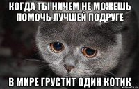 когда ты ничем не можешь помочь лучшей подруге в мире грустит один котик