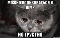 можно пользоваться и gimp но грустно