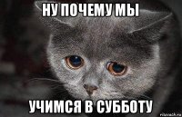 ну почему мы учимся в субботу