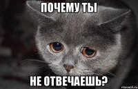 почему ты не отвечаешь?