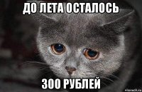 до лета осталось 300 рублей