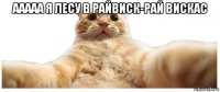 ааааа я лесу в райвиск-рай вискас 